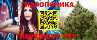 сатива Пушкино