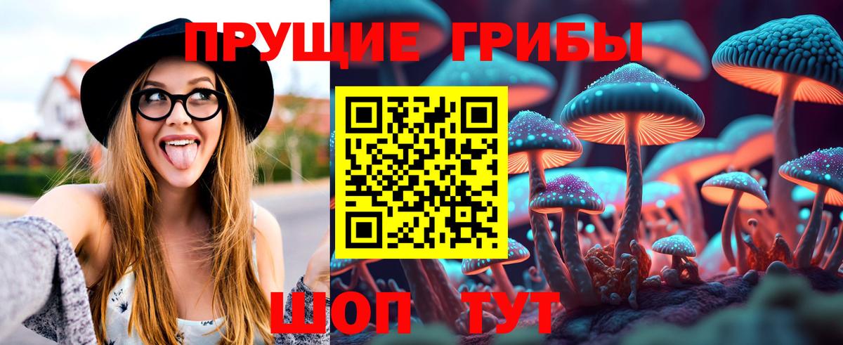 Псилоцибиновые грибы Magic Shrooms Пугачёв